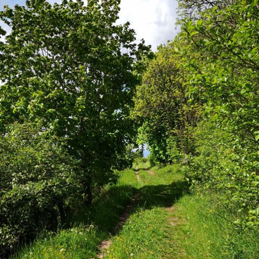 Feldweg
