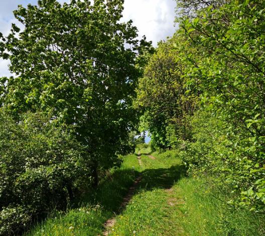 Feldweg