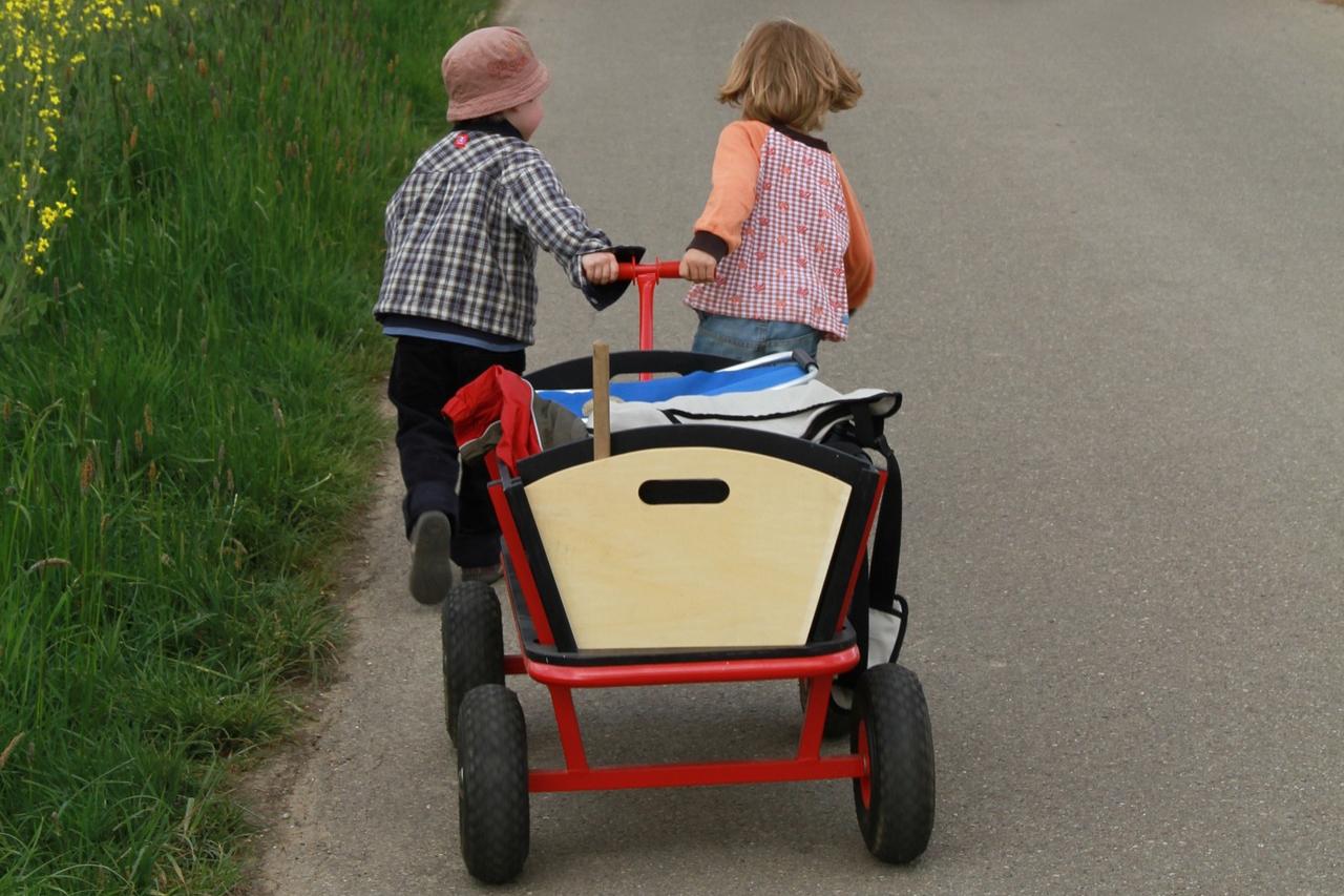 Kinder-Bollerwagen