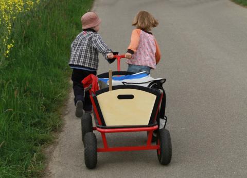 Kinder-Bollerwagen