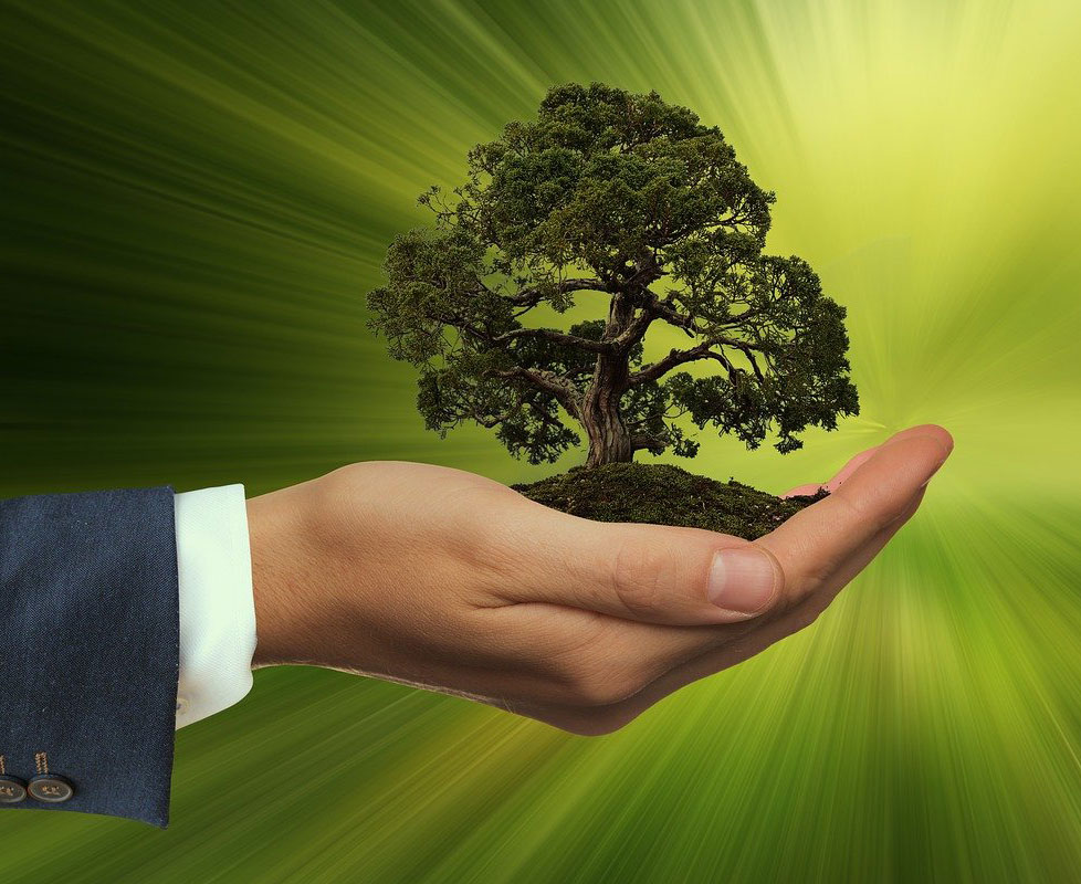 Schöpfung und Nachhaltigkeit